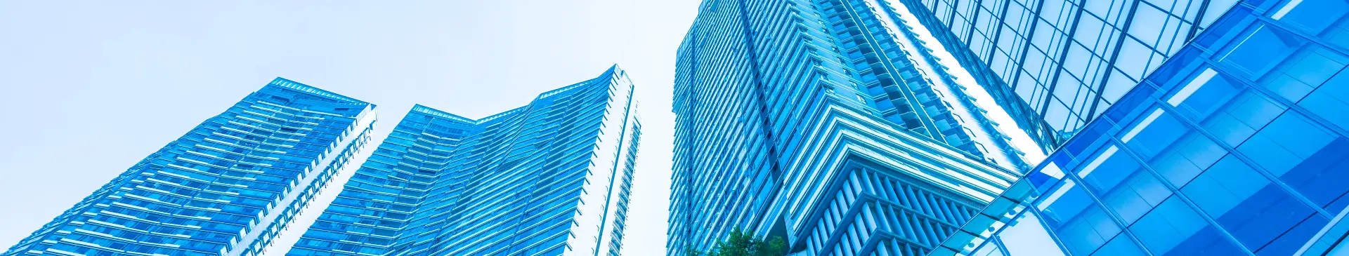 CK International LLC